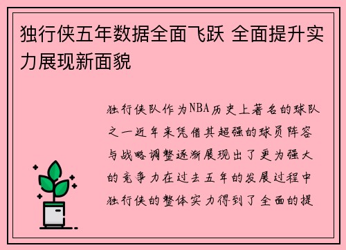 独行侠五年数据全面飞跃 全面提升实力展现新面貌