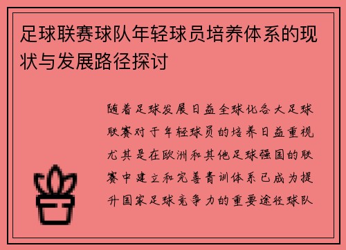 足球联赛球队年轻球员培养体系的现状与发展路径探讨